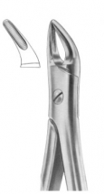  Fig. 76 upper roots 
